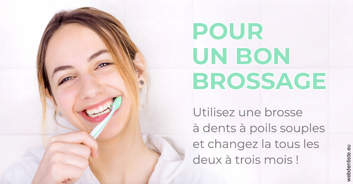 https://selarl-grangeon-bissuel-et-associes.chirurgiens-dentistes.fr/Pour un bon brossage 2