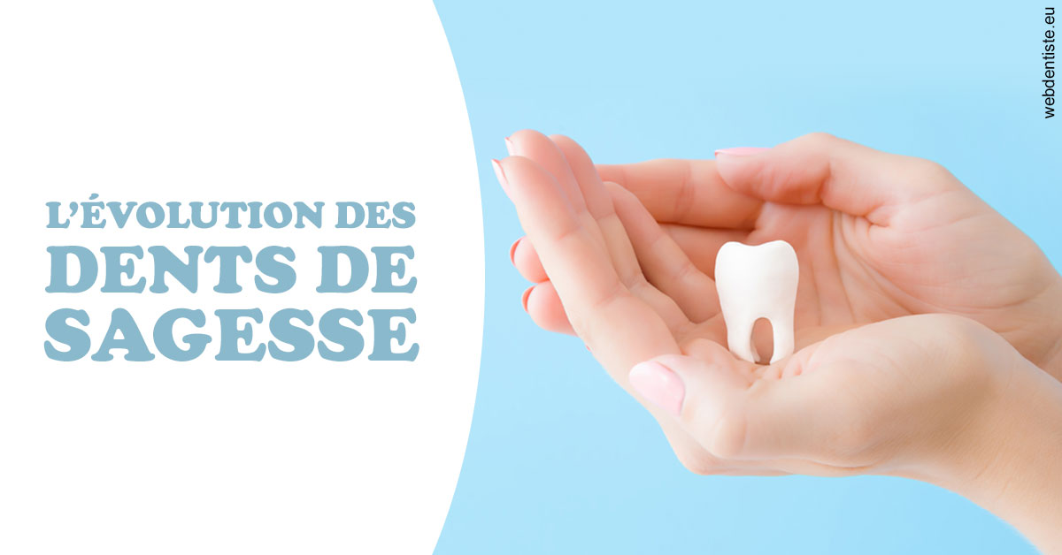 https://selarl-grangeon-bissuel-et-associes.chirurgiens-dentistes.fr/Evolution dents de sagesse 1