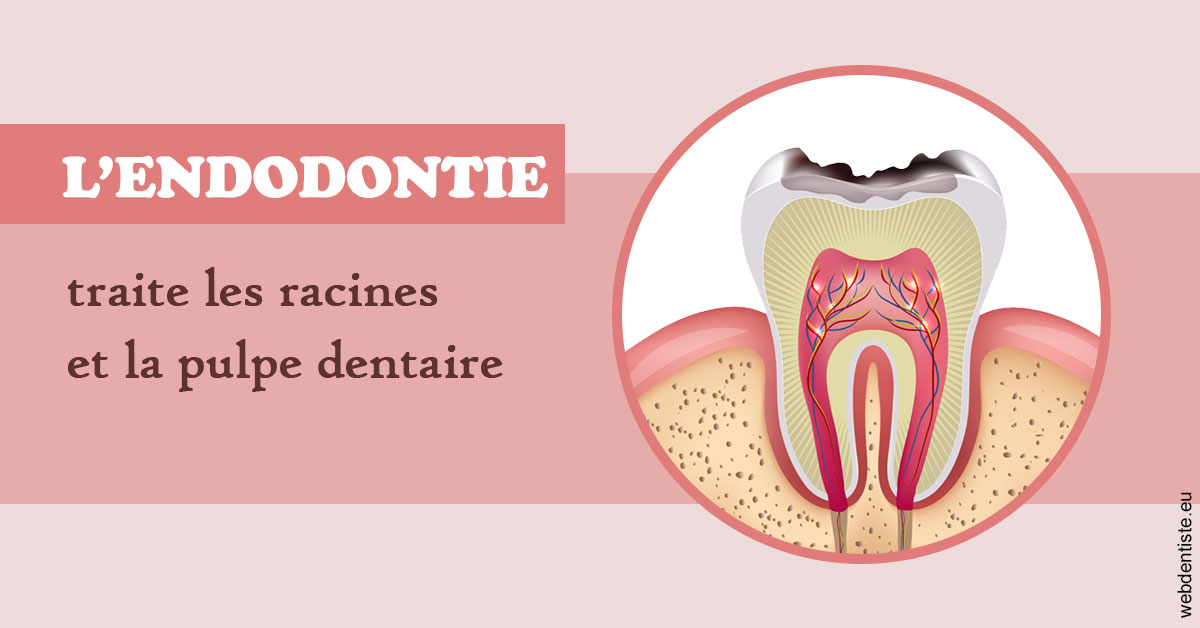 https://selarl-grangeon-bissuel-et-associes.chirurgiens-dentistes.fr/L'endodontie 2