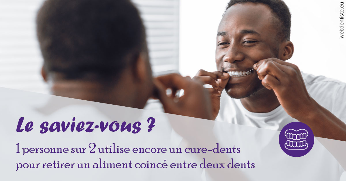https://selarl-grangeon-bissuel-et-associes.chirurgiens-dentistes.fr/Cure-dents 2