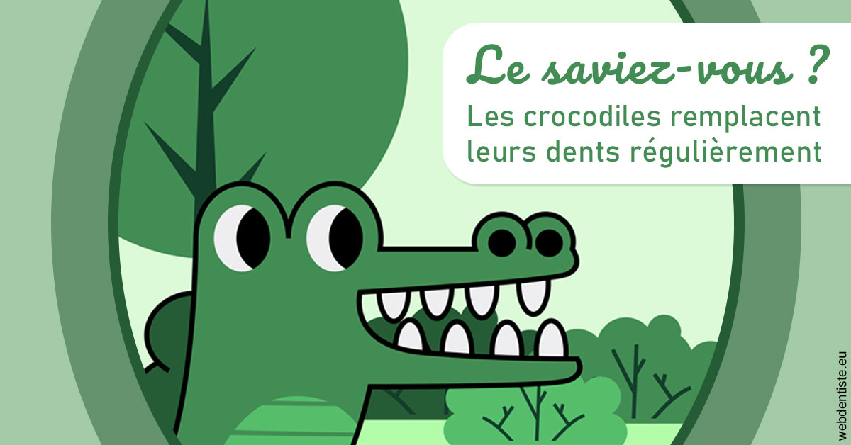 https://selarl-grangeon-bissuel-et-associes.chirurgiens-dentistes.fr/Crocodiles 2