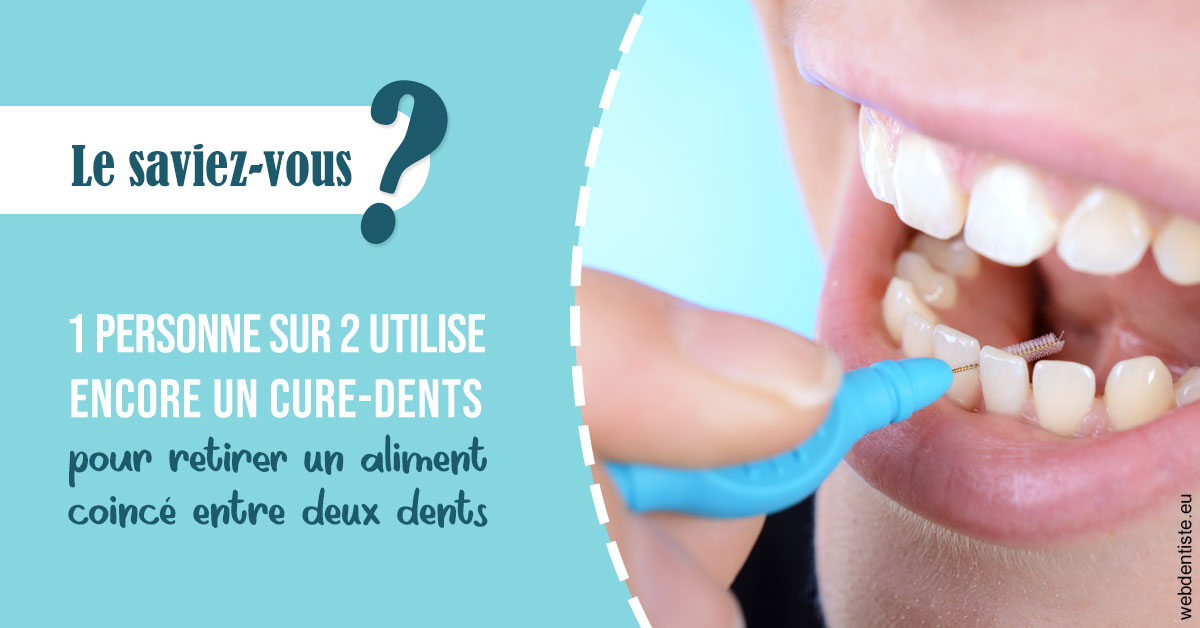 https://selarl-grangeon-bissuel-et-associes.chirurgiens-dentistes.fr/Cure-dents 1